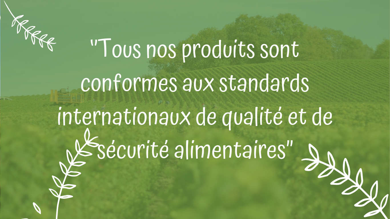 Votre texte de paragraphe (1)