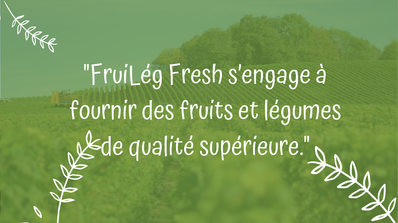 Votre texte de paragraphe (2)
